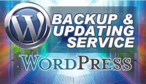 Wordpress backup and updating service