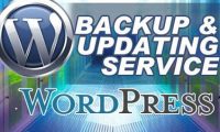 Wordpess-updating-service